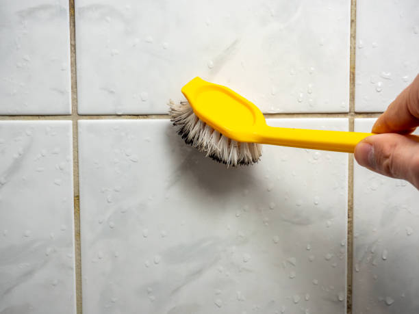 Best Mold Remediation  in Mi Wuk Village, CA