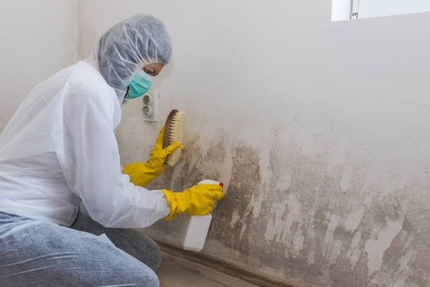 Best Crawl Space Mold Removal  in Mi Wuk Village, CA
